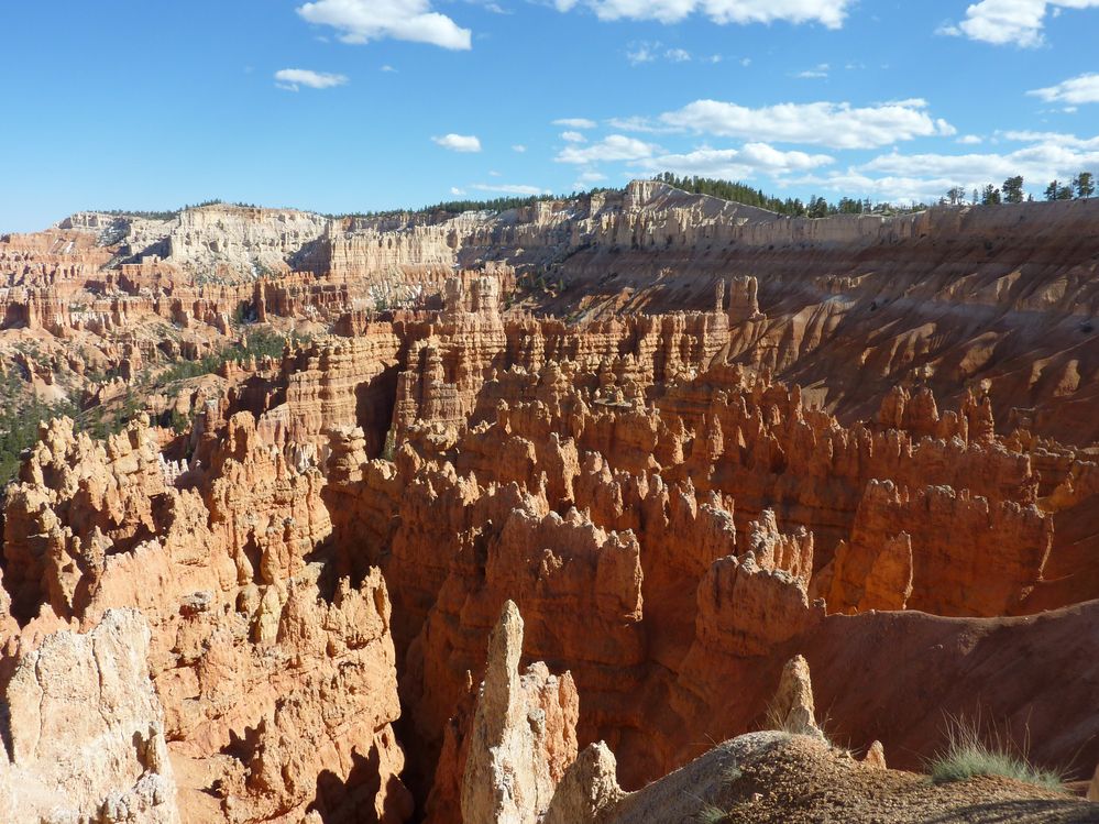 bryce canyon (210).JPG